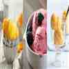 sorbets and vegan ice creams with Vitamix